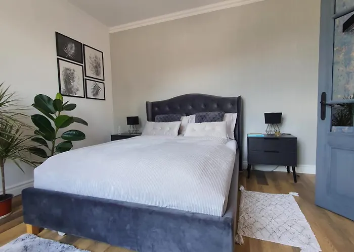 No.10 فيلة Kwiatonowice